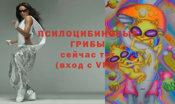 ПСИЛОЦИБИНОВЫЕ ГРИБЫ Алзамай