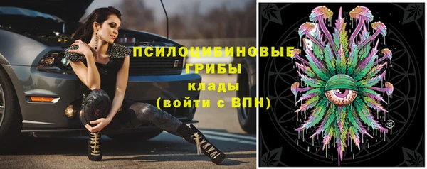 бошки Абдулино