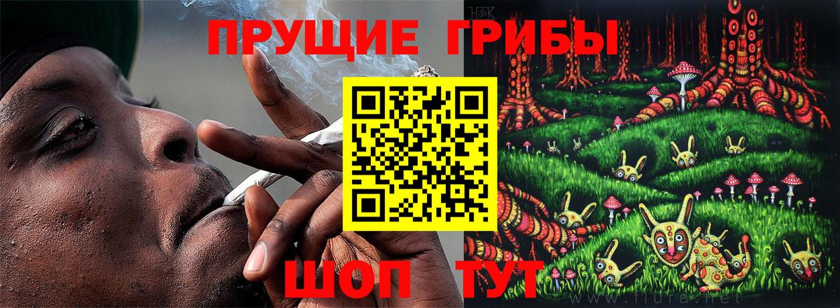 Галлюциногенные грибы Cubensis  Псилоцибиновые грибы GOLDEN TEACHER  закладка  Вход с VPN  Череповец 
